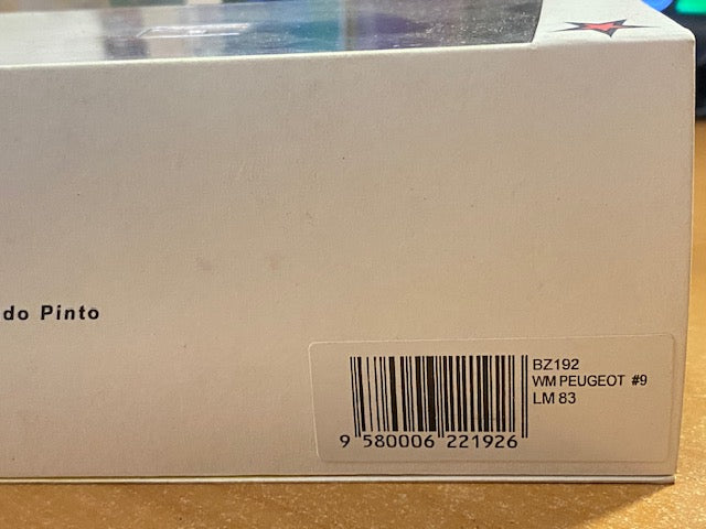 WM 83 Turbo PEUGEOT Le Mans 1983 #9  -Jean-Daniel Raulet  Michel Pignard  Didier Theys